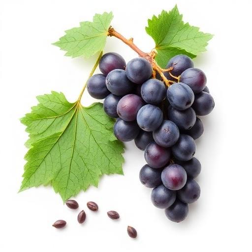 Grape Seed Extract